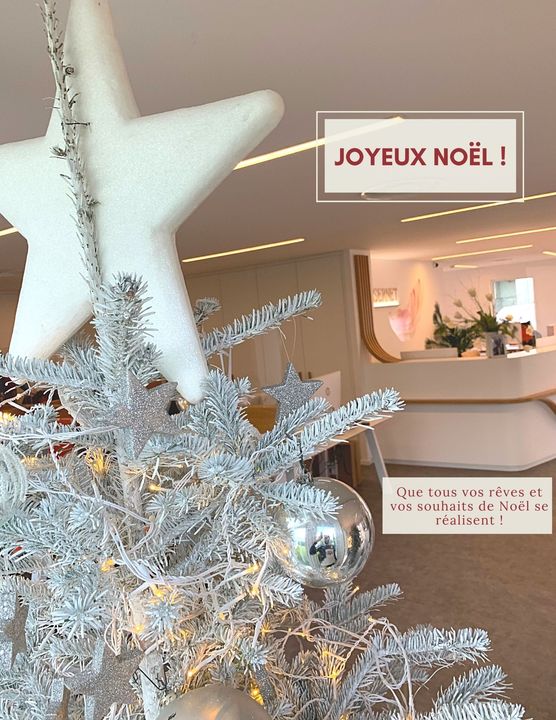 Joyeux Noël !